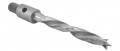 Threaded Shank Bradpoint Drill