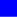 felo-nm-blue.jpg