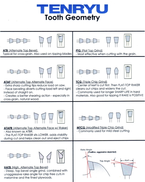 tenryu_tooth_geometry.jpg