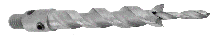 Adjustable Counterbore, Style No 514CT - Counterboring Flat-bottom Holes - Carbide Tipped - Southeast Tool SE15904