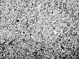 flux-2.jpg