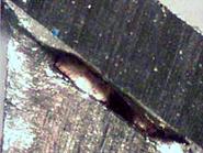 pretinning-7.jpg